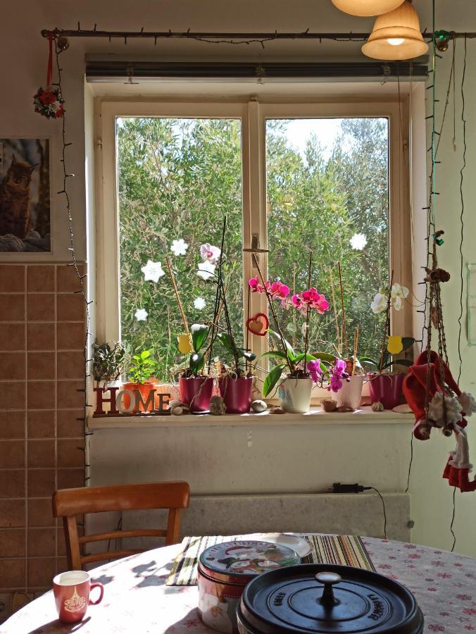 Maslinov Hlad Apartment Barbat na Rabu Exterior photo